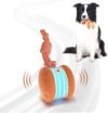 Interactive Dog Toys, Random Path E...