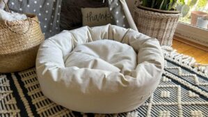 Organic Cotton Canvas Dog Bed: Remo...