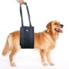 Doggie Stylz Portable Dog Lift Harn...