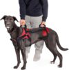 Doggie Stylz Multi-Functional Full-...