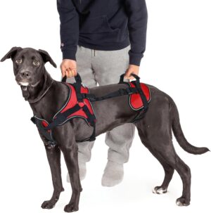 Doggie Stylz Multi-Functional Full-...