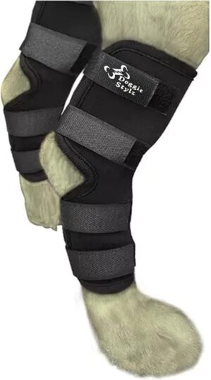 Doggie Stylz Dog Leg Braces for Bac...
