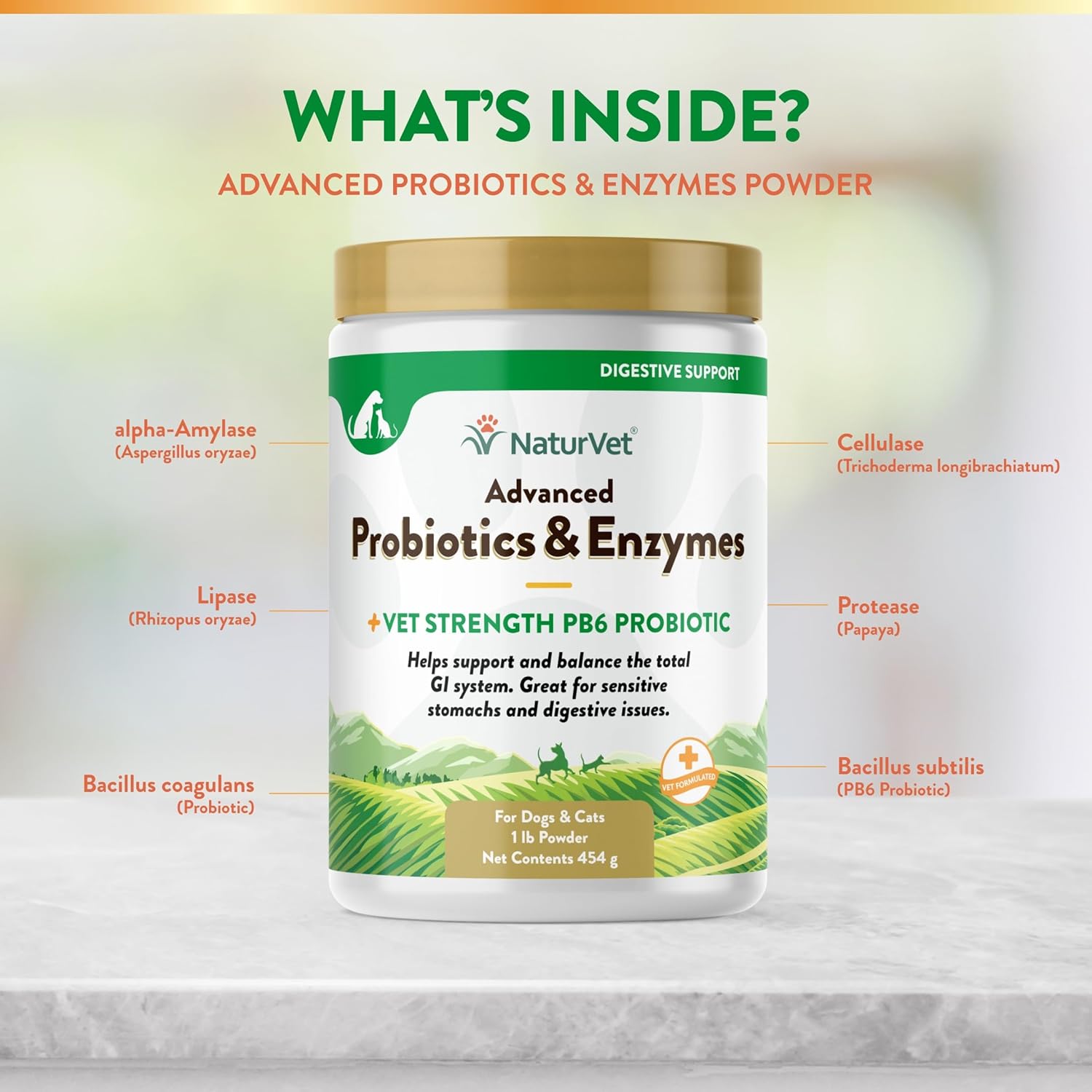 NaturVet – Advanced Probiotics & Enzymes - Plus Vet Strength PB6 Probiotic | Supports and Balances Pets with Sensitive Stomachs & Digestive Issues | for Dogs & Cats (1 lb) - Image 5