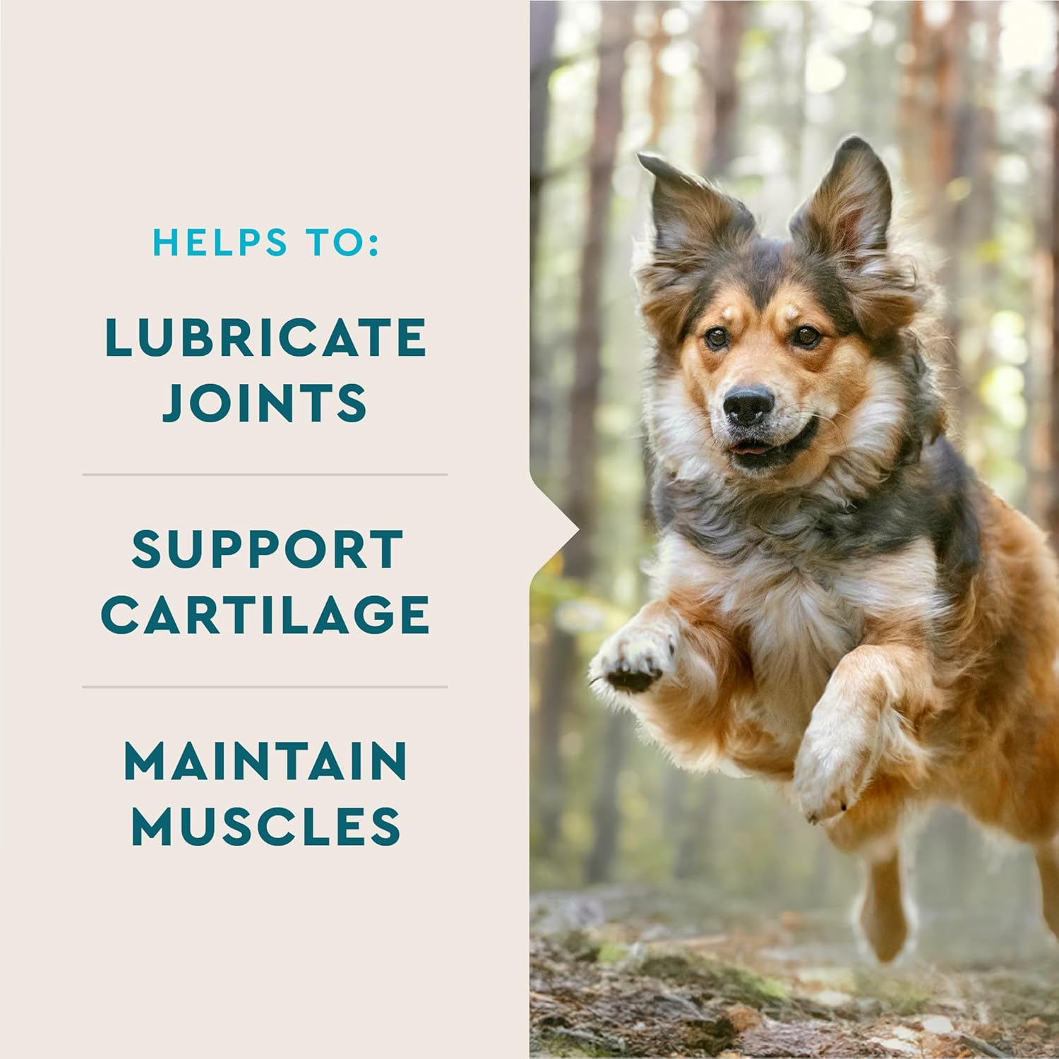 VetIQ Glucosamine Hip & Joint Supplement for Dogs, 180 Soft Chews, Joint Support Supplement with MSM and Krill, Dog Health Supplies Large & Small Breed, Chicken Flavored Chewables - Image 3