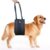 Doggie Stylz Portable Dog Lift Harness 4-150 lbs. Dog Sling for Back Legs, Hip Support Harness Helps Lift for Rehab, Weak Rear Legs, Hind Leg Support, Senior, Injured, Disabled, After Surgery (Small)